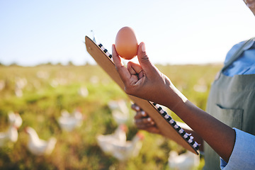 Image showing Hand of woman on farm with egg, inspection and chickens, clipboard and sustainable small business farming in Africa. Poultry farmer with checklist, quality control and person in countryside on field.