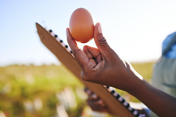 Image showing Hand of farmer in field with chickens, clipboard and egg, quality assurance and sustainable small business farming in Africa. Poultry farm inspection, checklist and person in countryside with grass.