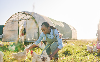 Image showing Chicken coop, black woman and agriculture on a eco friendly and sustainable with farm management. Countryside, field and agro farmer with a smile from farming, animal care work and working in nature