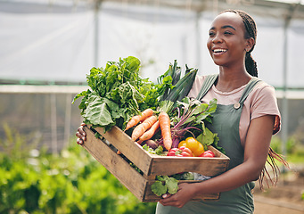 Image showing Woman, farming and vegetables in greenhouse for agriculture, supply chain or business with green product in basket. Happy African farmer or supplier with gardening for NGO, nonprofit or food security