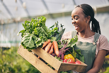 Image showing Woman, happy farmer and vegetables in greenhouse for agriculture, business growth and product in box. Excited African worker or supplier harvest and gardening with food, carrot and lettuce in basket