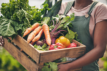 Image showing Person, vegetables box and agriculture, sustainability or farming for supply chain or agro business. Farmer, seller or supplier with harvest and gardening for NGO, nonprofit and food or groceries