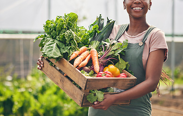 Image showing Woman, agriculture and vegetables in greenhouse for farming, supply chain or agro business with product box. Happy farmer or supplier with harvest and gardening for NGO, nonprofit and food or grocery