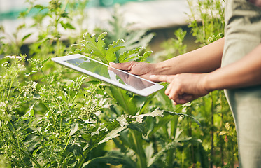 Image showing Hands on tablet, research and woman in garden checking internet website for information on plants. Nature, technology and farmer with digital app for sustainability, agriculture and analysis on farm.