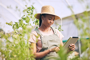 Image showing Gardening, research on tablet and black woman on farm checking internet website for information on plants. Nature, technology and farmer with digital app for sustainability, agriculture and analysis.