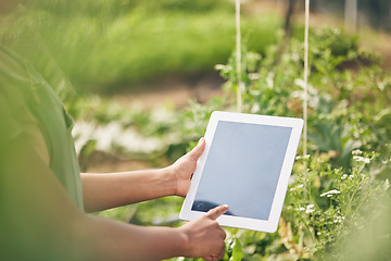 Image showing Hands on tablet, screen and woman on farm, research internet website and information on plants. Nature, technology and farmer with digital app for sustainability, agriculture and analysis in garden.