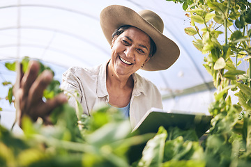 Image showing Woman, tablet and greenhouse for plants inspection, agriculture and farming in sustainability and e commerce. Happy farmer on digital technology for gardening, vegetables growth and quality assurance