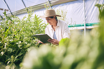 Image showing Senior woman, agriculture and greenhouse with clipboard, inspection of harvest and vegetable farming. Farmer, check crops and sustainability, agro business and checklist with growth and gardening