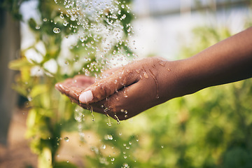 Image showing Farming, washing hands and water drop in closeup, outdoor and growth with hygiene at agro job. Person, cleaning and shower open palm for agriculture, dirt or bacteria with sustainability at farm