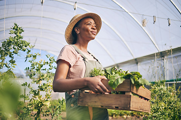 Image showing Smile, greenhouse and black woman on farm with vegetables in sustainable business, nature and sunshine. Agriculture, garden and happy female farmer in Africa, green plants and agro farming in field.