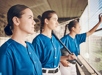 Image showing Women, softball and sports, team in dugout and watch game with fitness, mission and confidence at stadium. Athlete group, exercise and trust with support, collaboration and baseball player in club