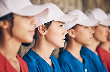 Image showing Women, softball and sports, team and face, watch game with fitness and mission with confidence at stadium. Athlete group, exercise and trust with support, collaboration and baseball player in club