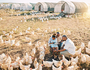 Image showing Family, chicken farm and gay people in countryside with sustainability, agriculture help and kid. Gay parents, farming and child together with love and support with bird and animal stock in field