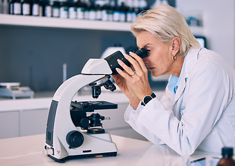 Image showing Microscope, research and woman scientist in a lab looking for sample analysis or experiment in laboratory for a medical project. Science, equipment and professional test bacteria or DNA for chemistry