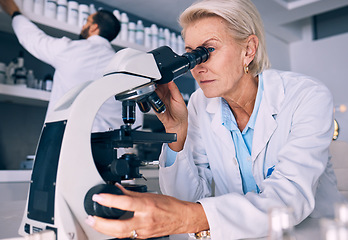 Image showing Microscope, research and woman science professional analysis on a sample or experiment in a laboratory for medical project. Scientist, equipment and expert test bacteria or DNA in a chemistry lab