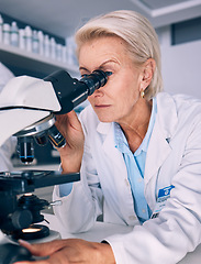 Image showing Science woman, microscope analysis and lab for medical research, molecules or particles of bacteria at pharma job. Mature female scientist and vision with study virus for pharmaceutical innovation