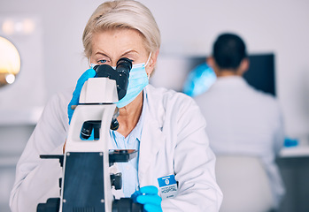 Image showing Microscope, senior woman and lab research with science work for a pharmaceutical or medical study. Chemistry, biometric and molecule analytics equipment for particles investigation in a hospital