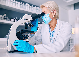 Image showing Science woman, microscope and covid in lab for medical research, molecules or particles of bacteria at pharma job. Mature female scientist and vision with studying virus for pharmaceutical innovation