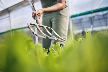 Image showing Pitchfork, farming and plants for ground, soil or working dirt for growth, irrigation or development in greenhouse. Farmer, agriculture and tools for gardening, cleaning and job for sustainable earth