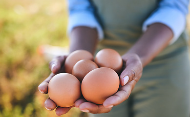 Image showing Eggs, farmer and hands in agriculture on sustainable farm or free range product for protein diet in nature. Food, health and person with organic nutrition from livestock on a field in the countryside