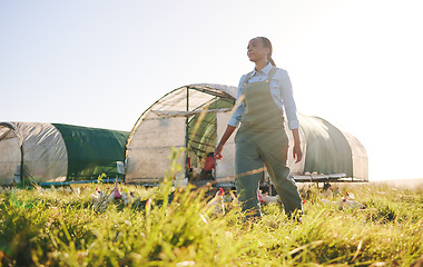 Image showing Chicken farm, black woman and agriculture work on a eco friendly and sustainable with mockup space. Countryside, field and agro farmer with a smile from farming, animal care and working in nature