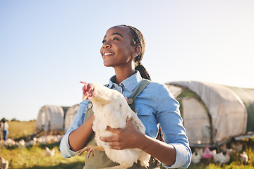 Image showing Farm, agriculture and black woman with chicken in field, countryside or nature for protein, growth or ecology. Agro business, sustainable farming and farmer and bird for free range poultry production