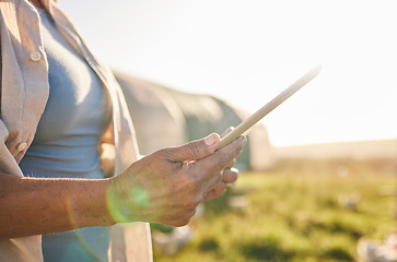 Image showing Farm, chicken and person on tablet in field, countryside and nature for internet, research and growth analysis. Agriculture, sustainable farming and farmer on digital tech for production inventory