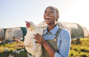 Image showing Farm, chicken and happy black woman in field, countryside and nature for agriculture, growth and ecology. Agro business, sustainable farming and farmer with bird for free range poultry production