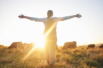 Image showing Sunrise, cow and woman on farm with open arms for freedom, adventure and excited for agriculture. Sustainable farming, morning and back of farmer with cattle, livestock and animals in countryside