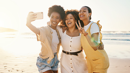 Image showing Women, selfie and peace sign with friends at beach for support, social media and diversity. Smile, relax and profile picture with group of people in nature for community, peace and summer vacation
