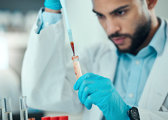 Image showing Science, man with pipette and blood in test tube, laboratory research results and medical engineering. Biotechnology, pharmaceutical study and DNA, scientist or lab technician with solution.