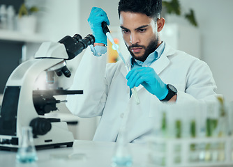 Image showing Science, results and man with test tube in laboratory, research and medical engineering at microscope. Biotechnology, pharmaceutical and study, scientist or lab technician checking solution in glass.