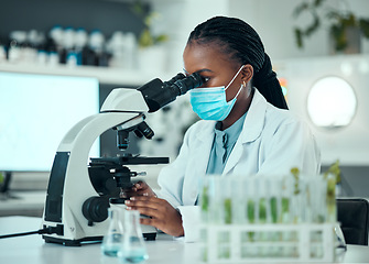 Image showing Microscope, medical and female scientist with a face mask in pharmaceutical lab for virus analysis. Professional, science and African woman researcher working on breakthrough research with equipment.