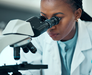 Image showing Scientist, woman and microscope in laboratory research, blood test and dna or virus analysis for medical study. Professional science or african person in biotechnology and lens check for particles