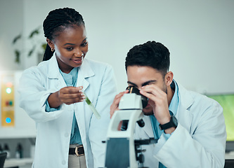 Image showing Scientist, teamwork and microscope, plant research and natural study, medicine and growth check in laboratory. Medical students or science people with test tube for green analysis and collaboration