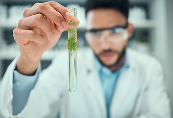 Image showing Science, test tube plant and man focus on pharmaceutical test, biotechnology development or botany innovation. Lab hand, pharmacy clinical trial or male scientist inspection of leaf chemical solution