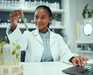 Image showing Science, black woman and happy for test tube plant progress, biotechnology results or botany research success. Natural medicine, development and female scientist smile for chemical solution process