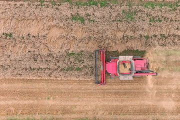 Image showing Agriculture machine harvesting golden ripe wheat field