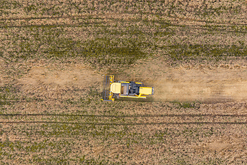 Image showing Combine harvester working on the wheat field