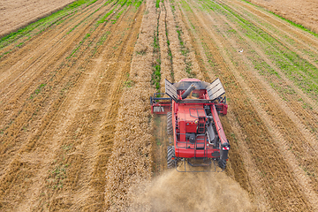 Image showing Combine harvester on the wheat field