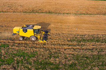 Image showing Combine harvesters working in wheat field