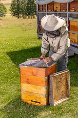 Image showing Beekeeper in protective workwear