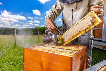 Image showing Beekeeper inspecting a beehive