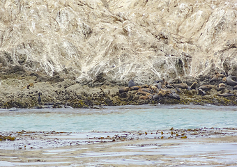 Image showing Bird Rock in California