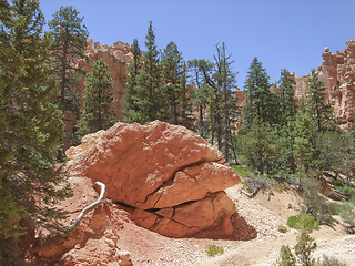 Image showing Bryce Canyon National Park