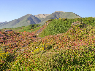 Image showing idyllic coastal scenery in California