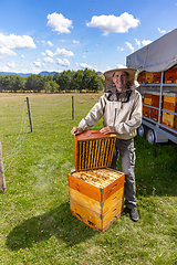 Image showing Male beekeeper wearing protective costume