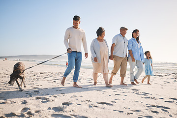 Image showing Walking, family and a dog outdoor at the beach in summer for fun, freedom and vacation. People, child and grandparents with a pet on sand at sea on holiday for travel, love and happiness in nature