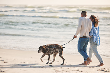 Image showing Beach, walking and couple with dog to relax by ocean for freedom, adventure and bonding in summer. Happy pet, excited canine and man and woman by sea for exercise, wellness and health in nature