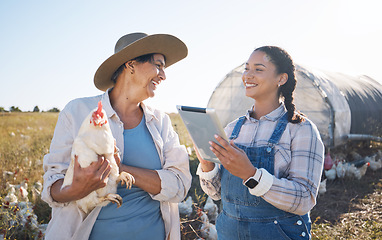 Image showing Teamwork, tablet or women farming chicken on field or agriculture for natural sustainability research. Technology, seller or happy people in countryside farm with live stock or rooster for production